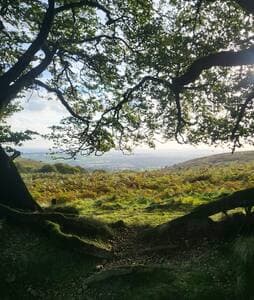 Rural Escape and Dog Friendly - View 18