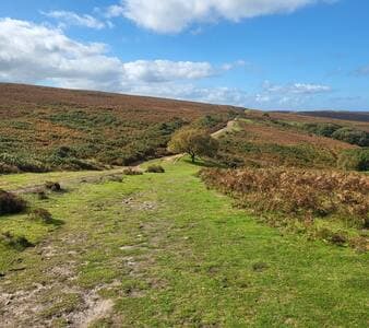 Sleeps 12, Stunning, Dog Friendly, Hot Tub, Rural - View 1