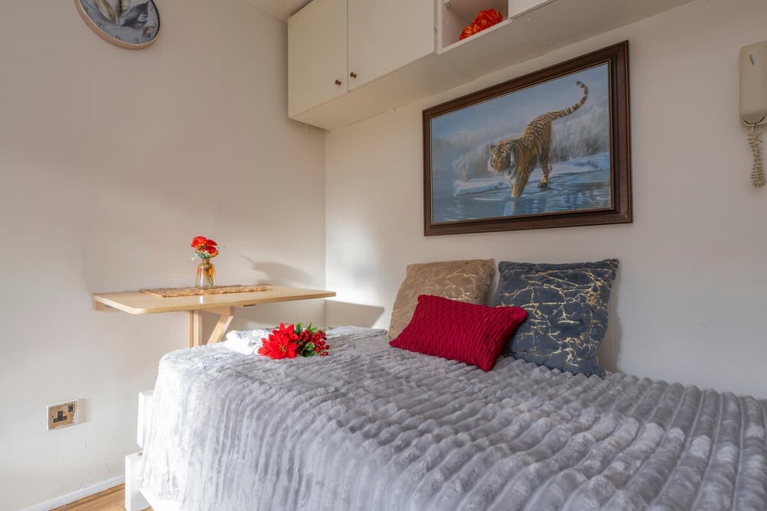 1 Bedroom Apartment - Deptford London - Sleeps 4 - View 9